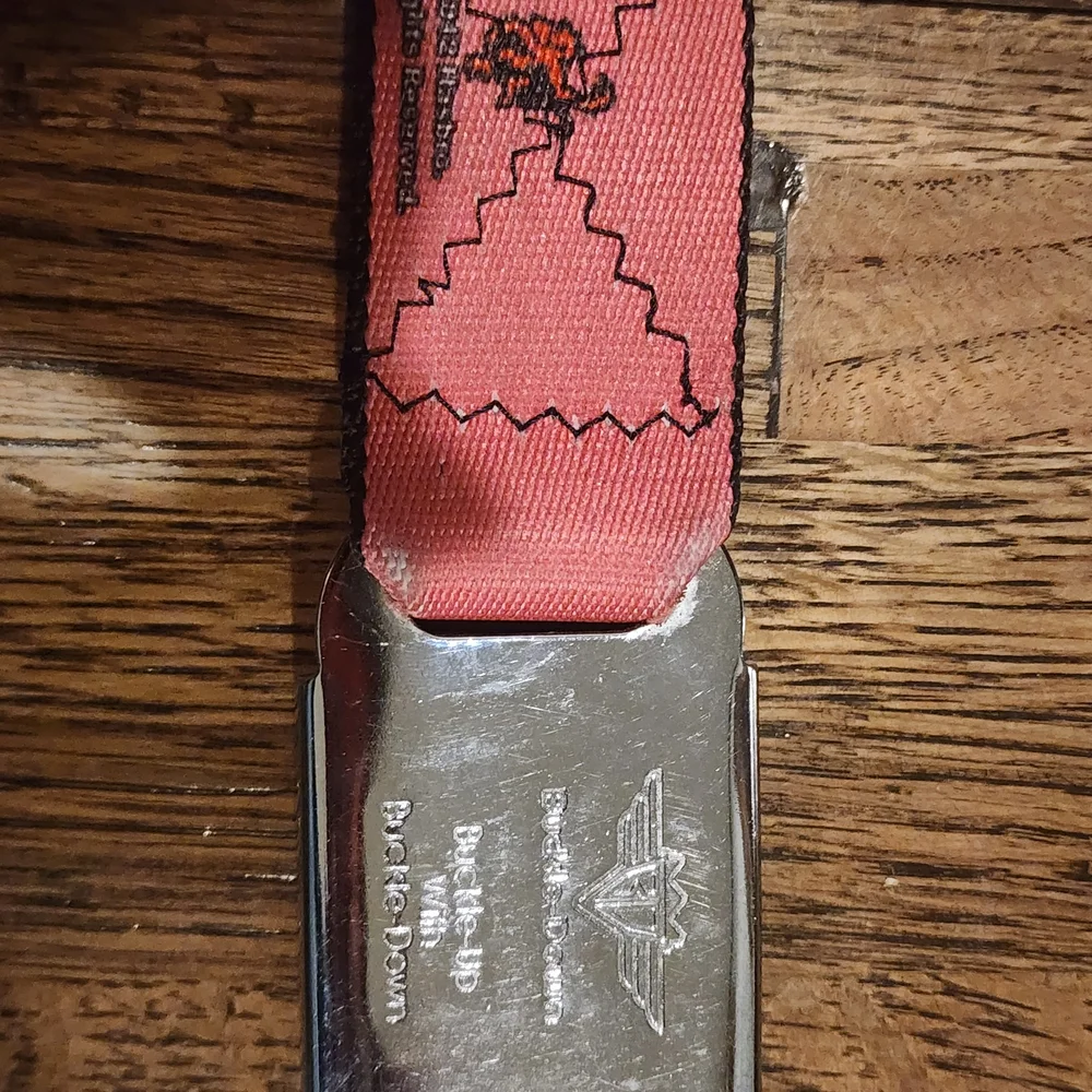 Buckle-Down My Little Pony Kids Belt - Multicolor